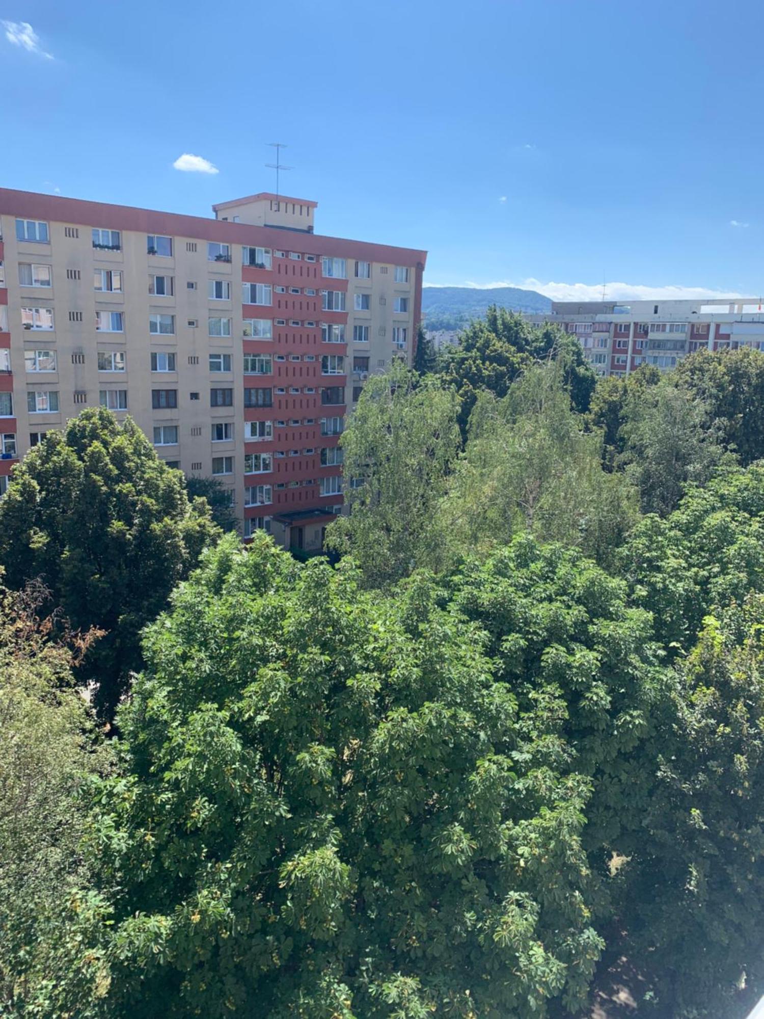 Victoriei Boulevard Private Apartment Брашов Экстерьер фото